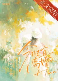 今日不宜有喜小说