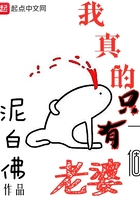 我真的只有一个老婆免费阅读
